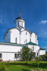 Fototapeta na wymiar Knyaginin monastery, Vladimir, Russia