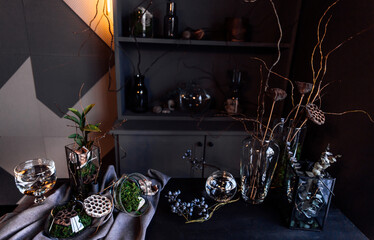 modern beautiful dark interior, room gray color, wardrobe shelves unusual gloomy decor table fabric cloth, dried flowers, vases with water, moss, branches, unusual style, halloween