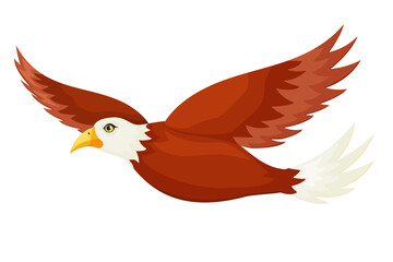 Eagle in cartoon style. Bird vector illustration. The image is isolated on a white background. Baby illustration

