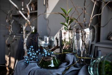 modern beautiful dark interior, room gray color, wardrobe shelves unusual gloomy decor table fabric cloth, dried flowers, vases with water, moss, branches, unusual style, halloween