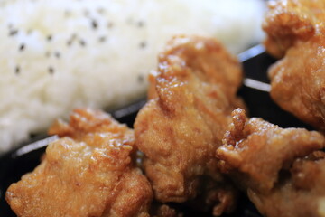 Fried chicken and rice from Japan