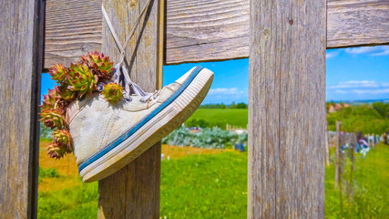 hang white sneakers shoes to fence - hipster shoes reuse in natural background
