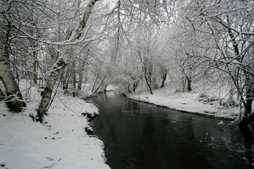 River in winter with snow-laden tree