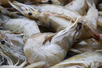 Close up fresh shrimps ready for sale at the market, shrimps background with copy space. Covid-19...
