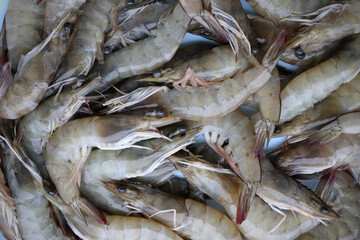Close up fresh shrimps ready for sale at the market, shrimps background with copy space. Covid-19...