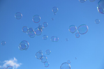 soap bubbles in the sky photo