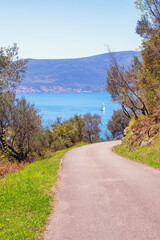 Fototapeta na wymiar Beautiful mountain landscape with country road near olive trees. Montenegro, Bay of Kotor, Tivat