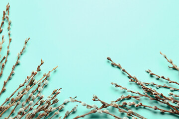 Willow branches on color background
