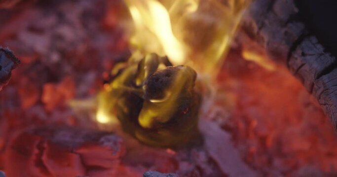 Marshmallow Buring In Campfire at Night