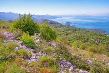 Fototapeta na wymiar Beautiful sunny spring landscape in mountains, coast of lake. Montenegro. National Park Lake Skadar