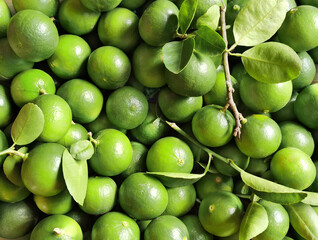 Fresh green lemon on the wooden table
