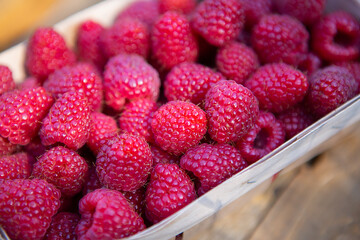 Fresh sweet juicy raspberries in a wooden basket close-up on a wooden table.
