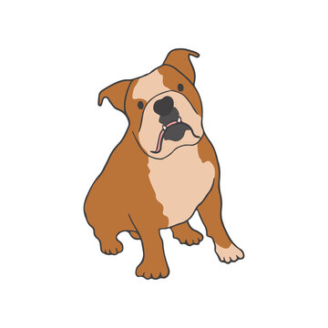 Dog of bulldog breed sitting on white background. Strong and smart purebred pet. Isolated colored flat vector illustration