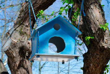 Blue wooden feeder for birds or squirrels on tree branches against the clear sky. Handmade garden decoration