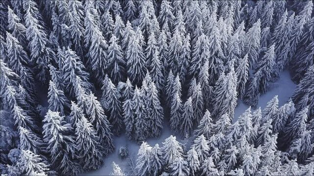 neige, hiver, montagne, arbres, foret,  paysage, Vercors,  France, Is&egrave;re, Grenoble, ciel, montagne, nature, ski, panorama, alpes, froid, vue, blanc, glace, panoramique, bleu, nuage, for&ecirc;t, pic, nuage,