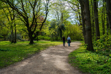 Der Diederichsenpark in Kiel eine Parkanlage im Fr&uuml;hjahr