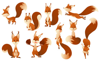 Cute cartoon squirrels. Sweet friendly animals. illustration with simple gradients. Funny forest wild animals running standing, walking and jumping. Clip art collection