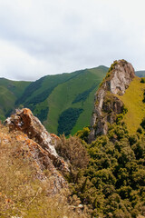 Obraz premium Green summer landscape with threes and rocks.