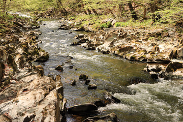 Frühling im Schwarzatal; Die Schwarza an den Strudeltöpfen