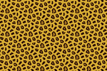 african animal fur skin pattern surface texture