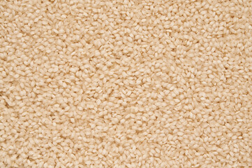 Albufera variety rice on wooden bowl