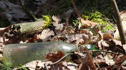 Brudna, przezroczysta butelka szklana po napoju w runie leśnym