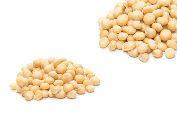 Macadamia nuts isolated on white background.