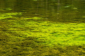 Grüner See Steiermark