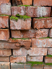 Old ruined brick wall with moss