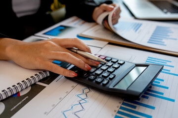 Financial Business analyze the graph of the company's performance to create profits and growth,...
