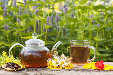 Herbal tea ( black tea, hibiscus tea, calendula, cloves, cardomon, cinnamon ) in nature.  Still life with herbal tea on a background of blooming mint.
