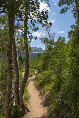 Fototapeta na wymiar Bierstadt Lake Trail with blue sky and mountains in background in Rocky Mountain National Park, Colorado 
