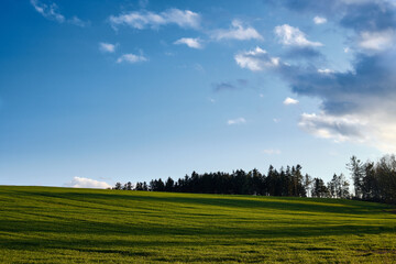 Green field near Frantiskovy Lazne