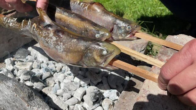 Die Garprobe beim gegrillten Saiblingen.