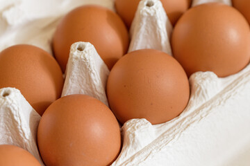 Chicken eggs in a paper carton