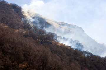 Forest fires in the mountains of Caucasus/