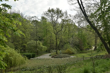 Fototapeta na wymiar La végétation luxuriante sous un ciel gris au parc Josaphat à Schaerbeek 
