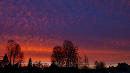Sunrise at ultraviolet sky in the North of Sweden
