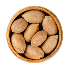 Unshelled pecan nuts, in a wooden bowl. Whole pecans, seeds and edible nuts of Carya illinoinensis. Used as a snack and in various recipes. Close-up, from above, isolated over white, macro food photo.