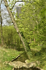 Bras d'étang sous la végétation luxuriante du printemps au parc Josaphat à Schaerbeek