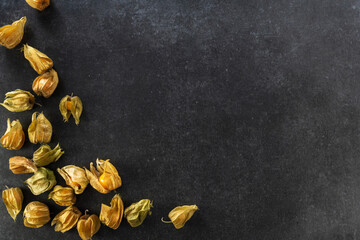 physalis peruvian, fruit, nightshade, scattered on a dark background, top view, empty space for text