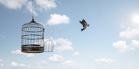 Bird flying to freedom - obrazy, fototapety, plakaty
