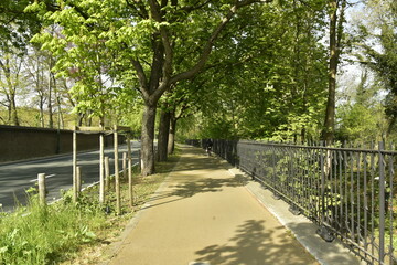 Fototapeta na wymiar Piste cyclable en pleine nature longeant l'autoroute urbaine de l'avenue Van Praet à Laeken