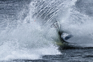 Naklejka premium splash in water