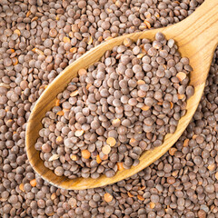 brown unhulled red lentils in wooden spoon closeup