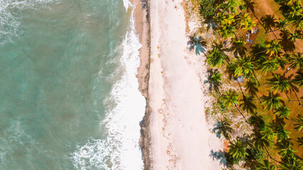 Aerial landscape of the beach with palm trees