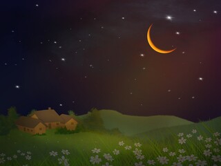 Obraz na płótnie Canvas A small house with a field of flowers in the night under the crescent moonlight shining down. The illustration is made from a tablet. Use it for a background.