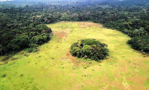 Gabon, Aerial view of lush green jungle of&not;&dagger;Lope National Park