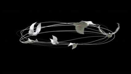 White pigeons flying around and white circle curve rotate with 3d rendering include alpha path. - Powered by Adobe
