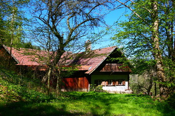 alpenländischer Bauernhof